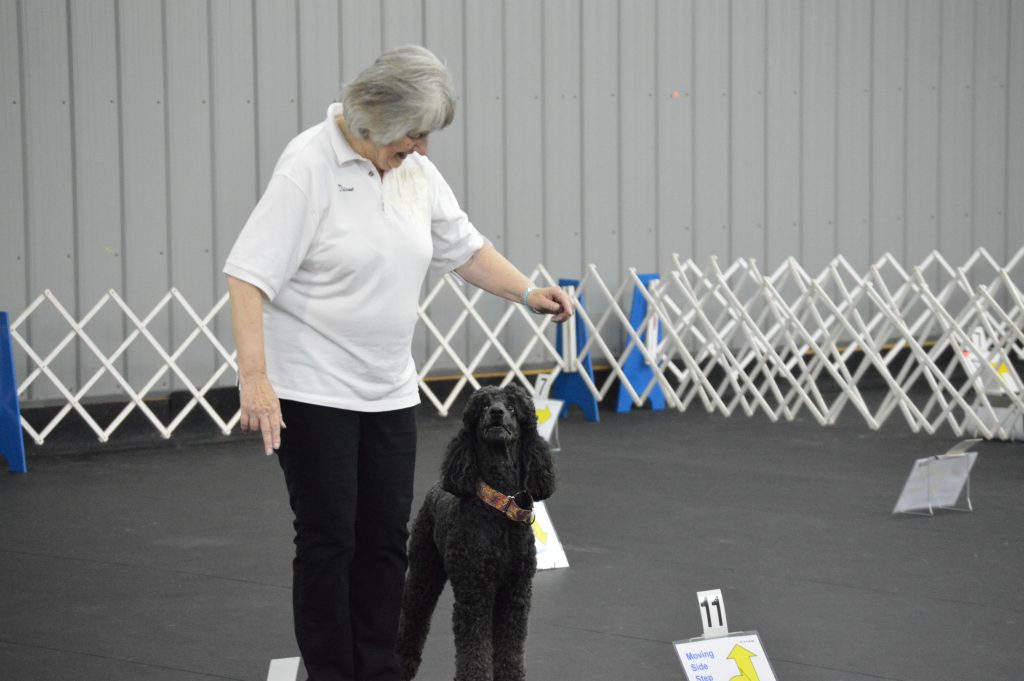 Lower Bucks Dog Training Club Serving Dog Training Needs Since 1976